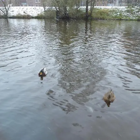 Houseboat In The Center, 5 Min Walk To Tropical Museum, Free Wifi! Amsterdam