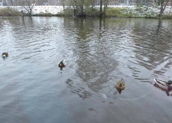 Houseboat In The Center, 5 Min Walk To Tropical Museum, Free Wifi! Άμστερνταμ